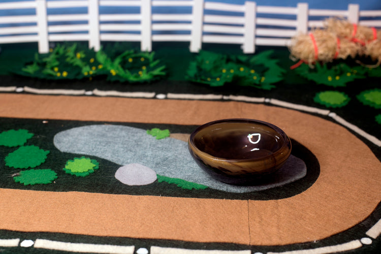 Buckskin Mezcal Mustang Coupe