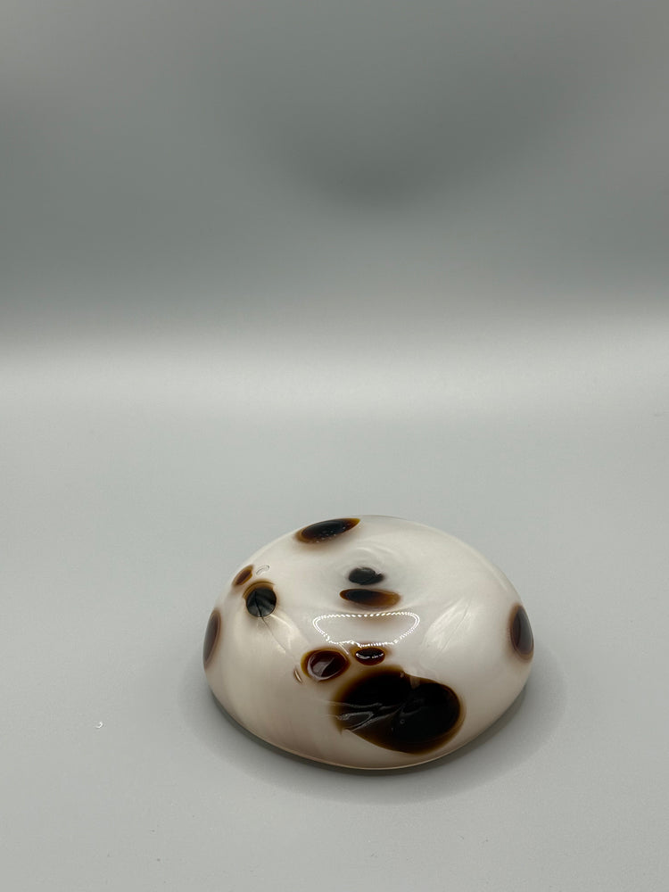 Bargain Bay Appaloosa Mezcal Mustang Coupe 2