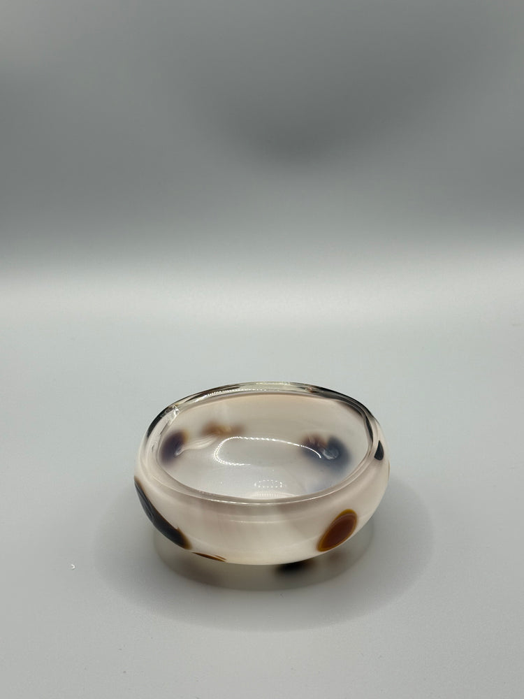 Bargain Bay Appaloosa Mezcal Mustang Coupe 2