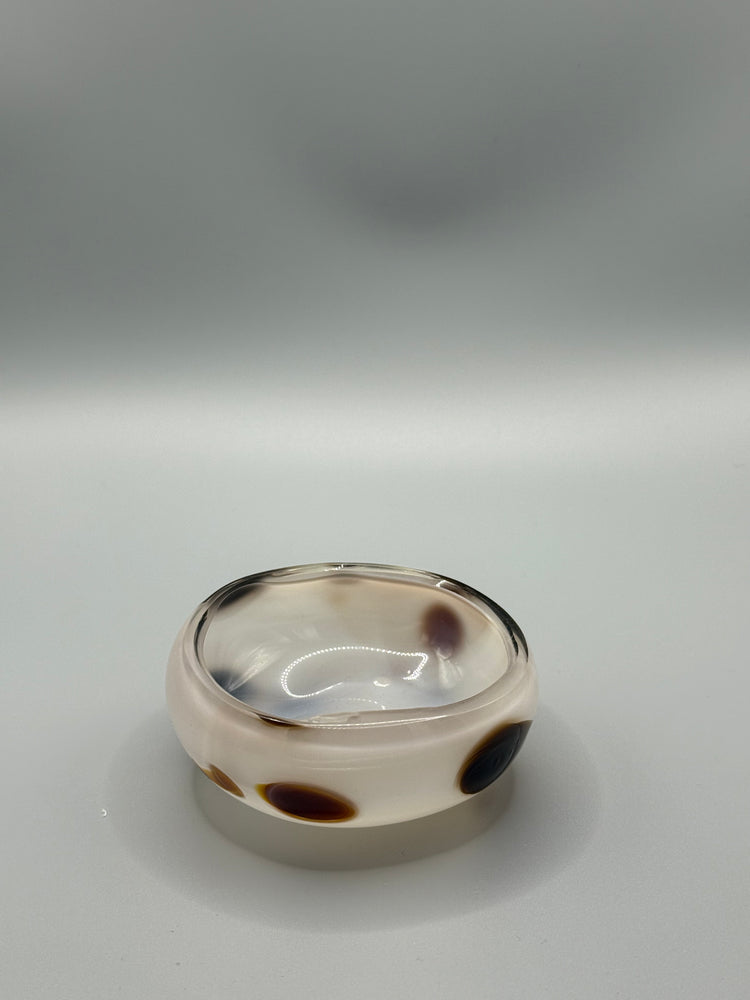 Bargain Bay Appaloosa Mezcal Mustang Coupe 2