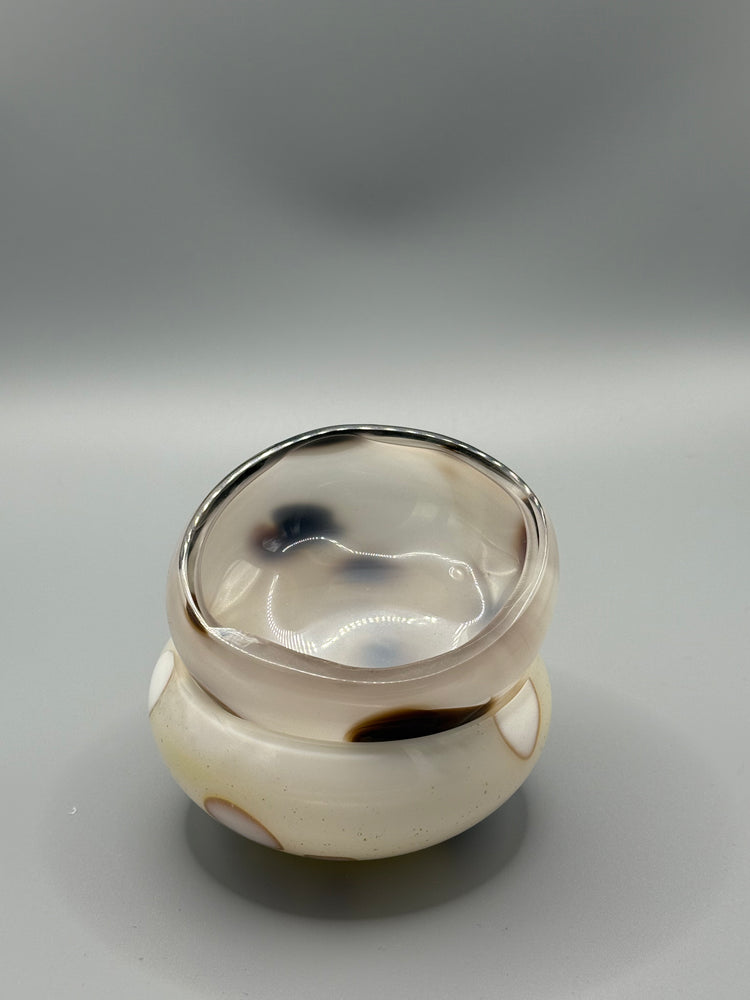 Bargain Bay Appaloosa Mezcal Mustang Coupe 2