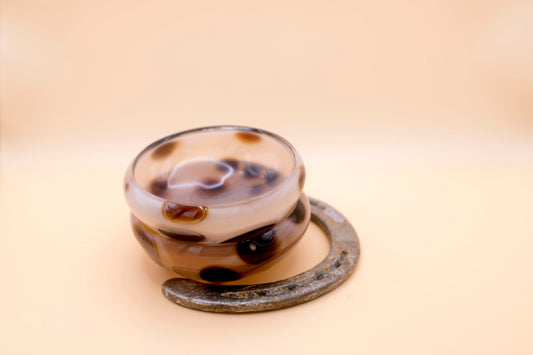 Appaloosa Mezcal Mustang Coupe