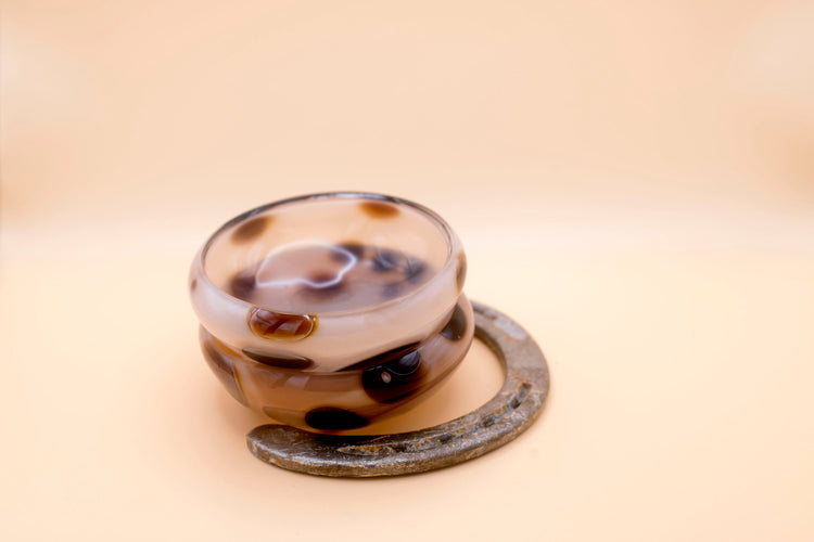 Appaloosa Mezcal Mustang Coupe