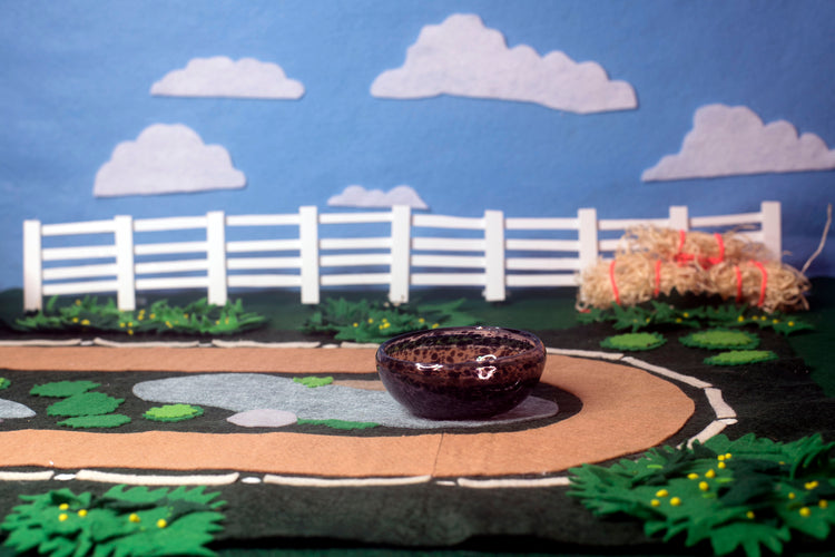 Bay Mezcal Mustang Coupe