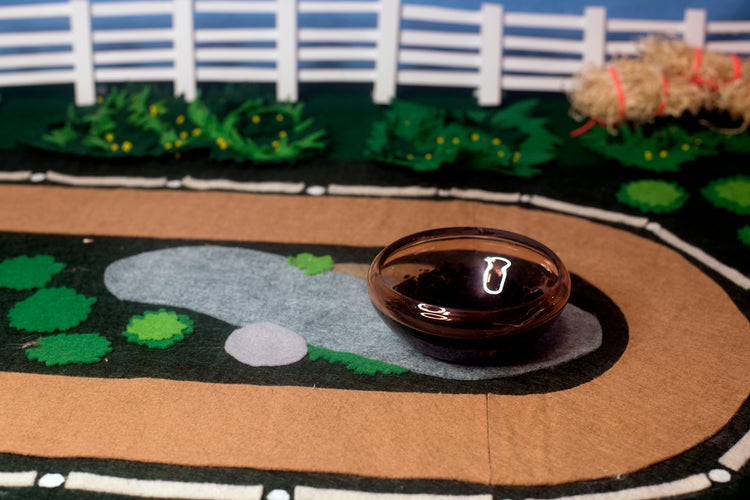 Bay Mezcal Mustang Coupe