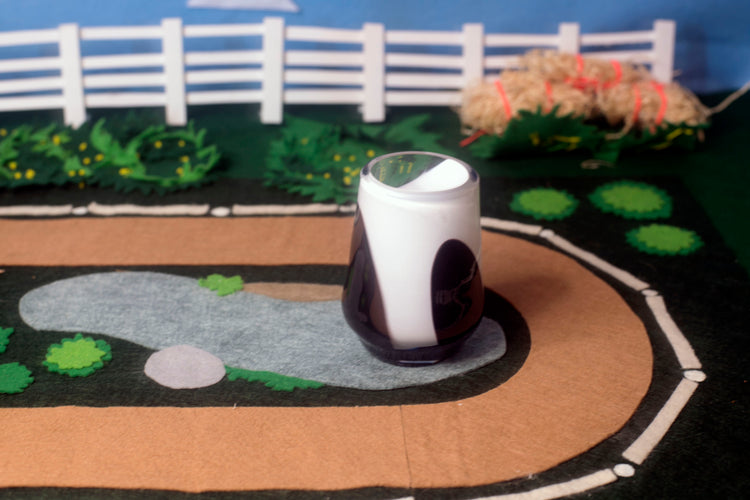 Black American Paint Thoroughbred Tumbler on racetrack