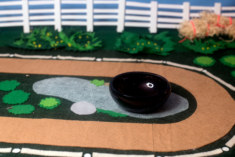 Black Mezcal Mustang Coupe