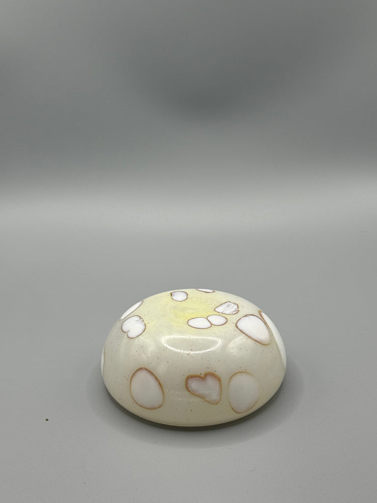 Bargain Haflinger Mezcal Mustang Coupe 2