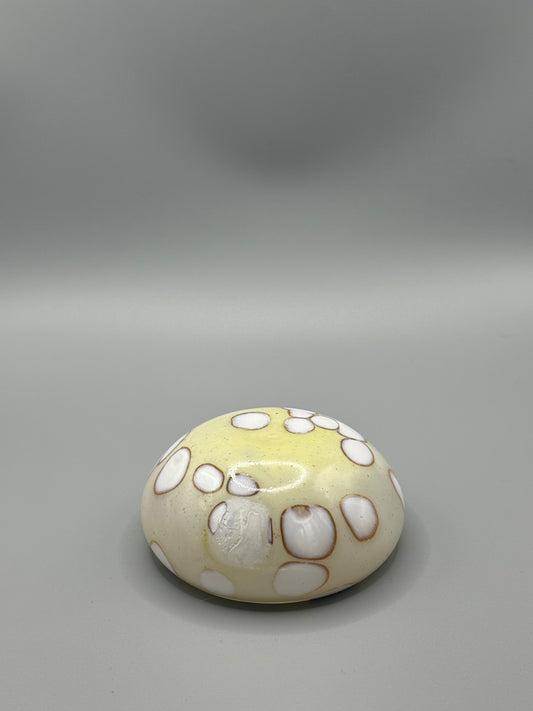 Bargain Haflinger Mezcal Mustang Coupe