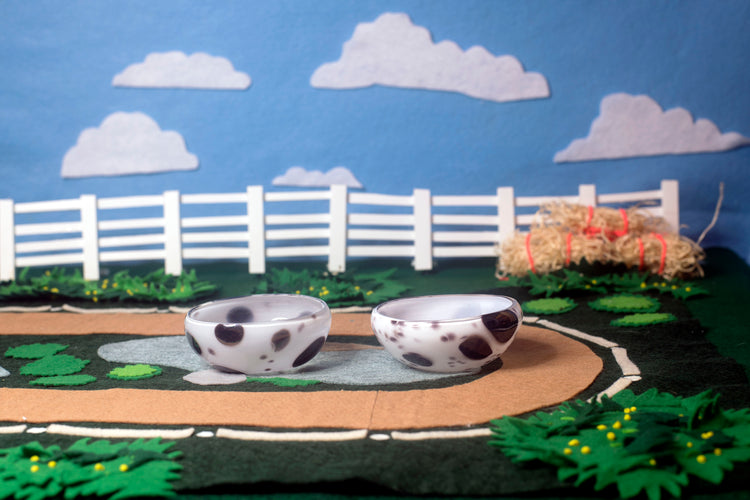 Appaloosa Mezcal Mustang Coupe