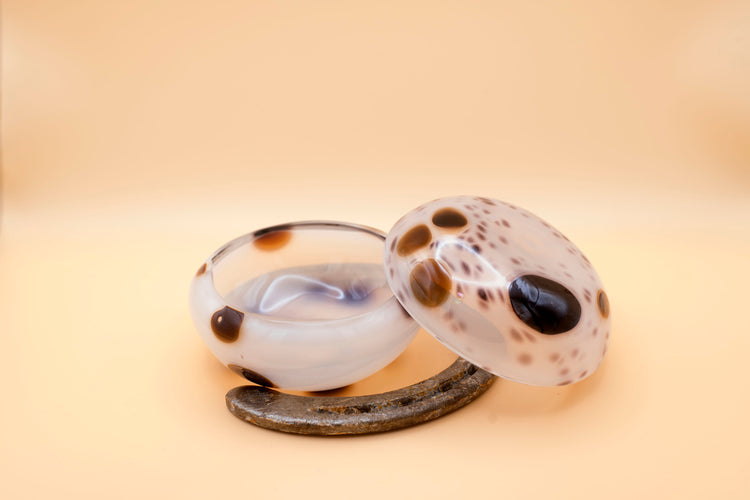 Appaloosa Mezcal Mustang Coupe