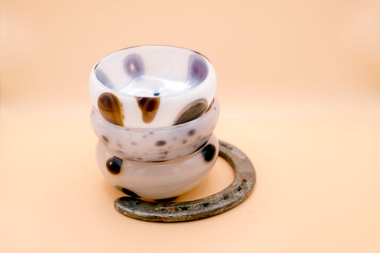 Appaloosa Mezcal Mustang Coupe