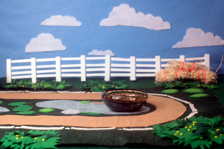 Bay Mezcal Mustang Coupe