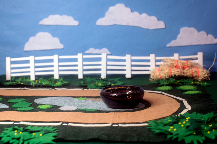 Bay Mezcal Mustang Coupe