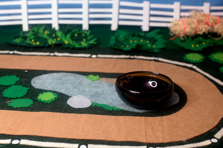 Bay Mezcal Mustang Coupe