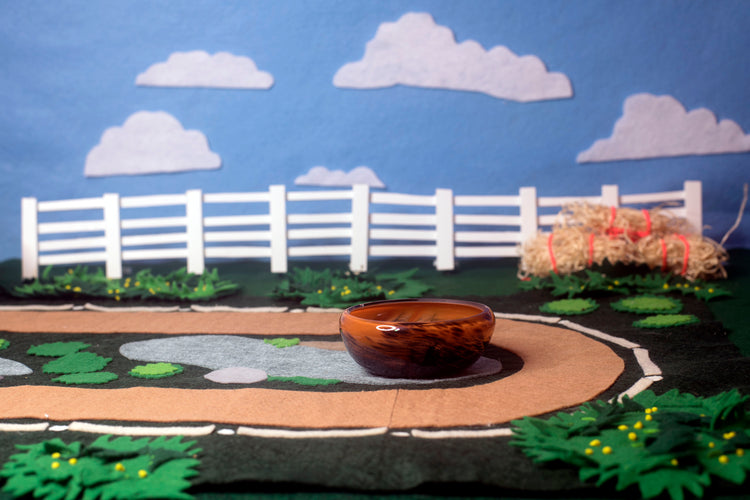 Bay Mezcal Mustang Coupe