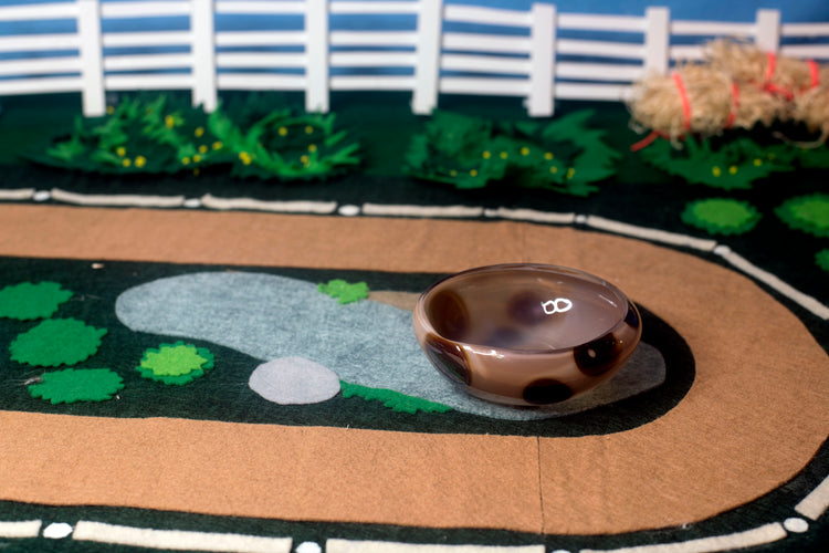 Appaloosa Mezcal Mustang Coupe