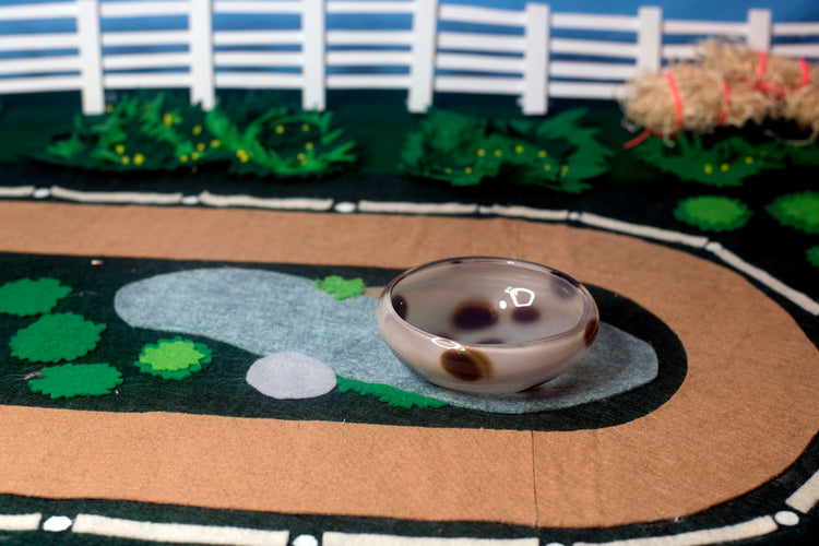 Appaloosa Mezcal Mustang Coupe