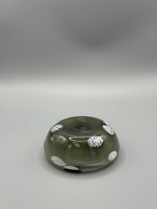 Bargain Standardbred Mezcal Mustang Coupe