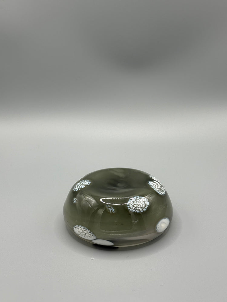 Bargain Standardbred Mezcal Mustang Coupe