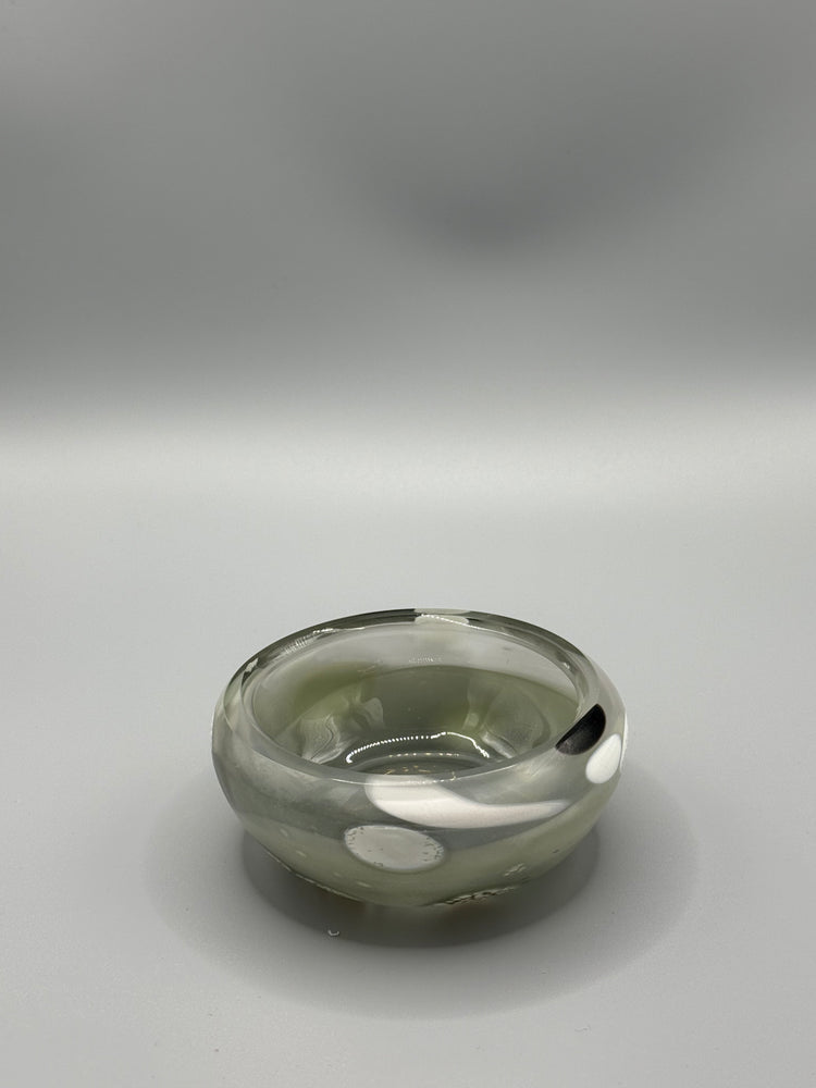 Bargain Standardbred Mezcal Mustang Coupe