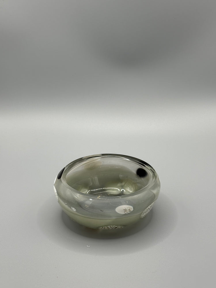 Bargain Standardbred Mezcal Mustang Coupe