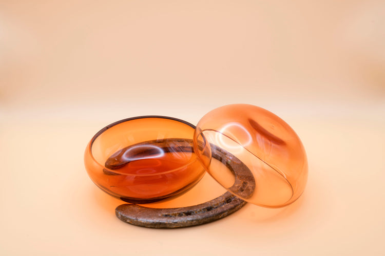 Bay Mezcal Mustang Coupe