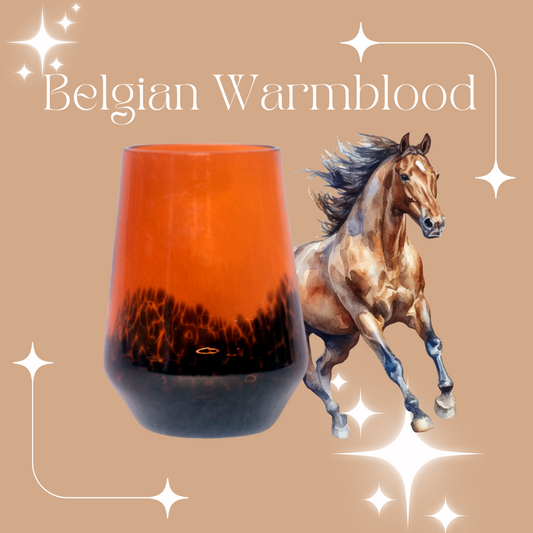 Horse Girl Facts: Belgian Warmblood