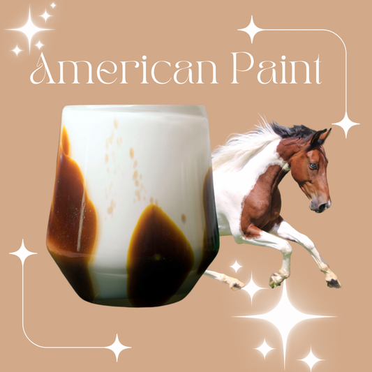 Horse Girl Facts: The American Paint