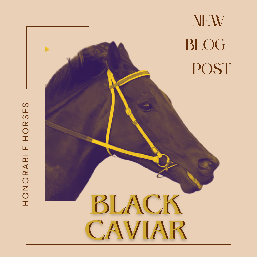 Honorable Horses: Black Caviar