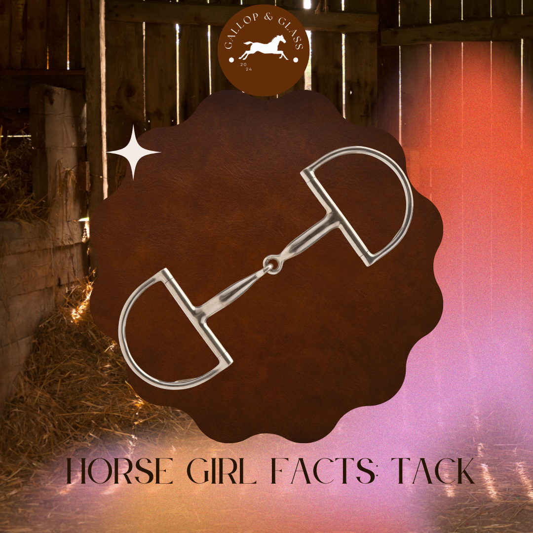 Horse Girl Facts: Tack