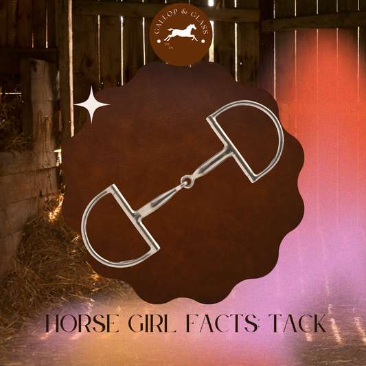 Horse Girl Facts: Tack