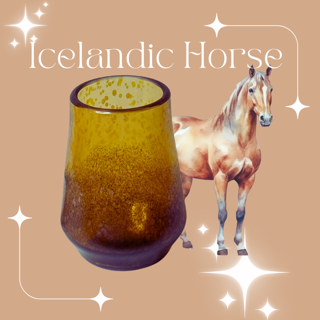 Horse Girl Facts: Icelandic Horse