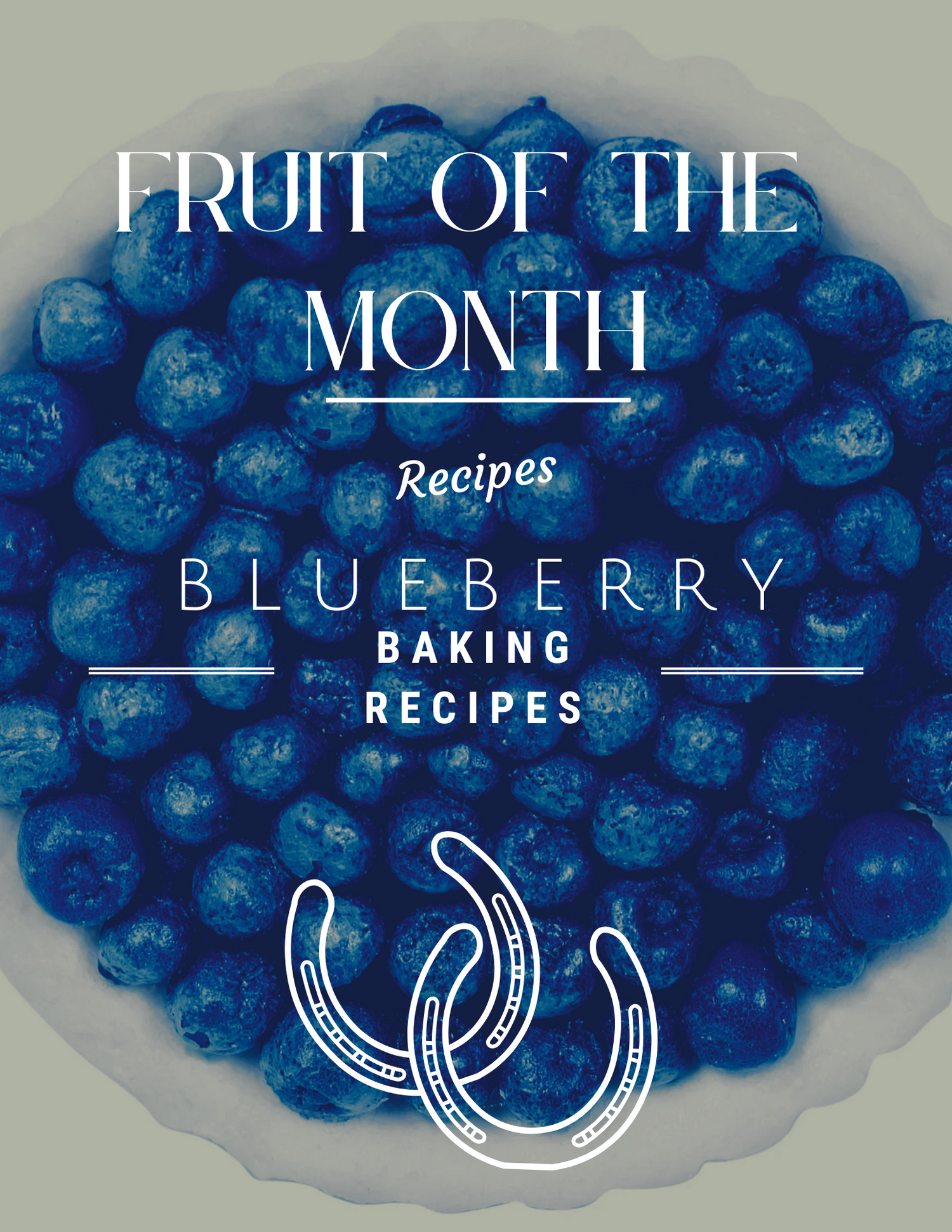 Fruit of the Month: Blueberry Bakery