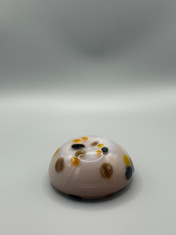 Bargain Bay Appaloosa Mezcal Mustang Coupe