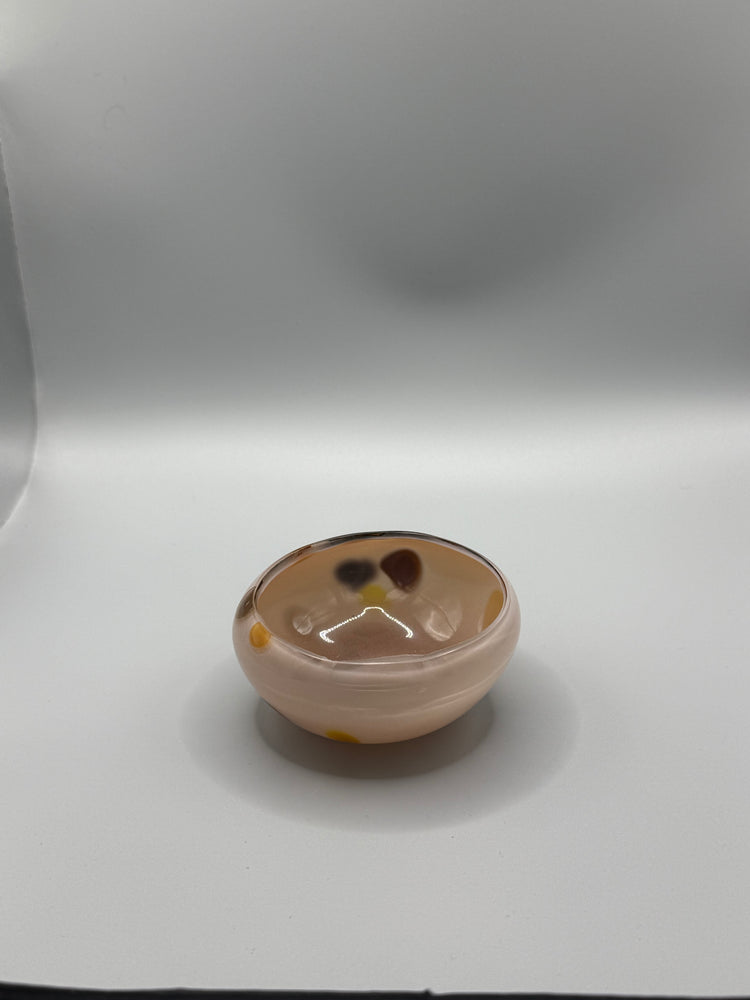 Bargain Bay Appaloosa Mezcal Mustang Coupe