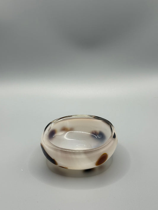 Bargain Bay Appaloosa Mezcal Mustang Coupe 2