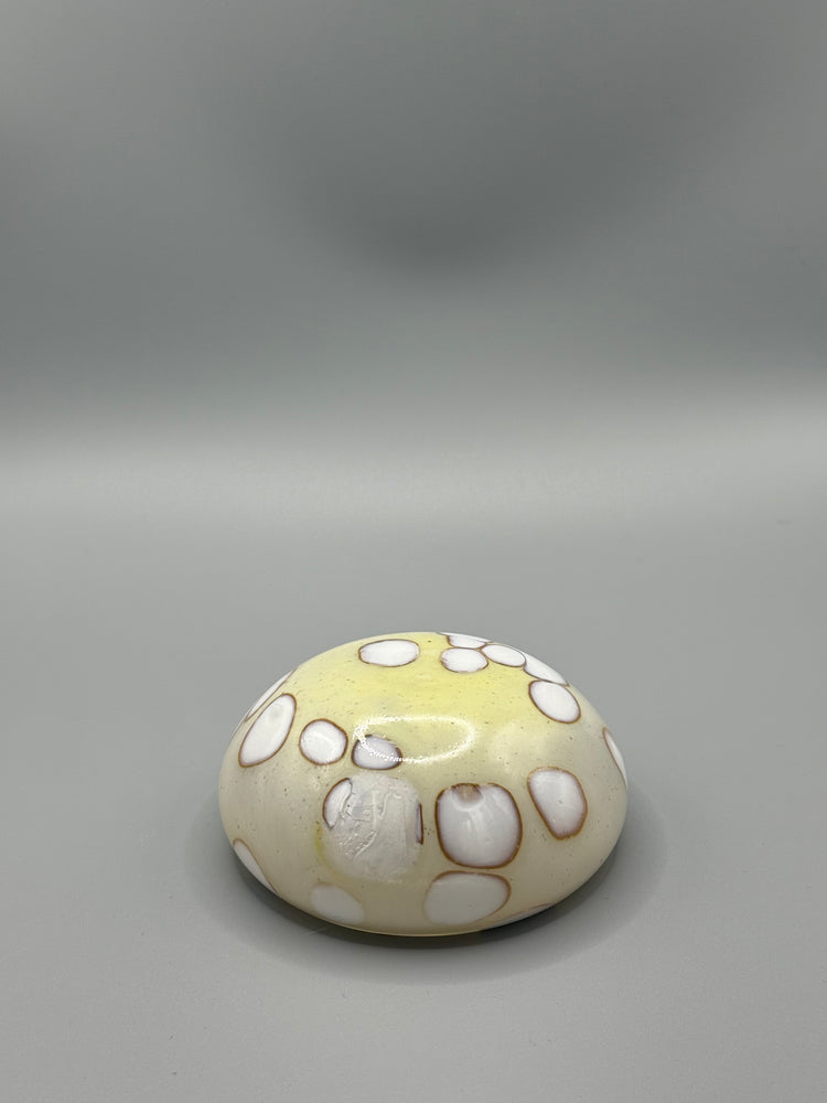 Bargain Haflinger Mezcal Mustang Coupe