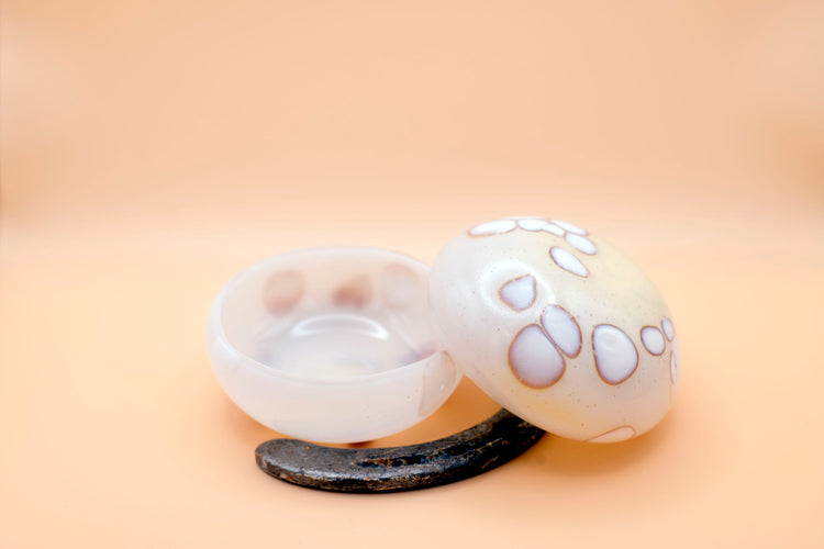 Palomino Mezcal Mustang Coupe