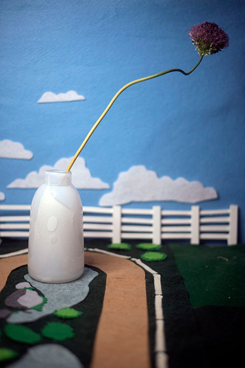 Cantering Carafe