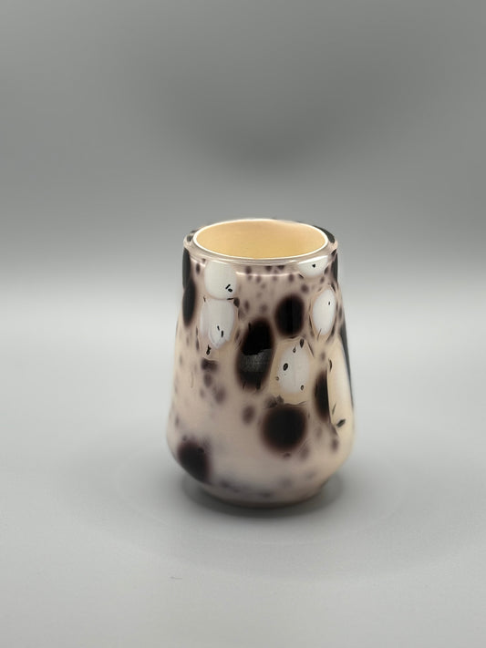 Bargain Knabstrupper Thoroughbred Tumbler