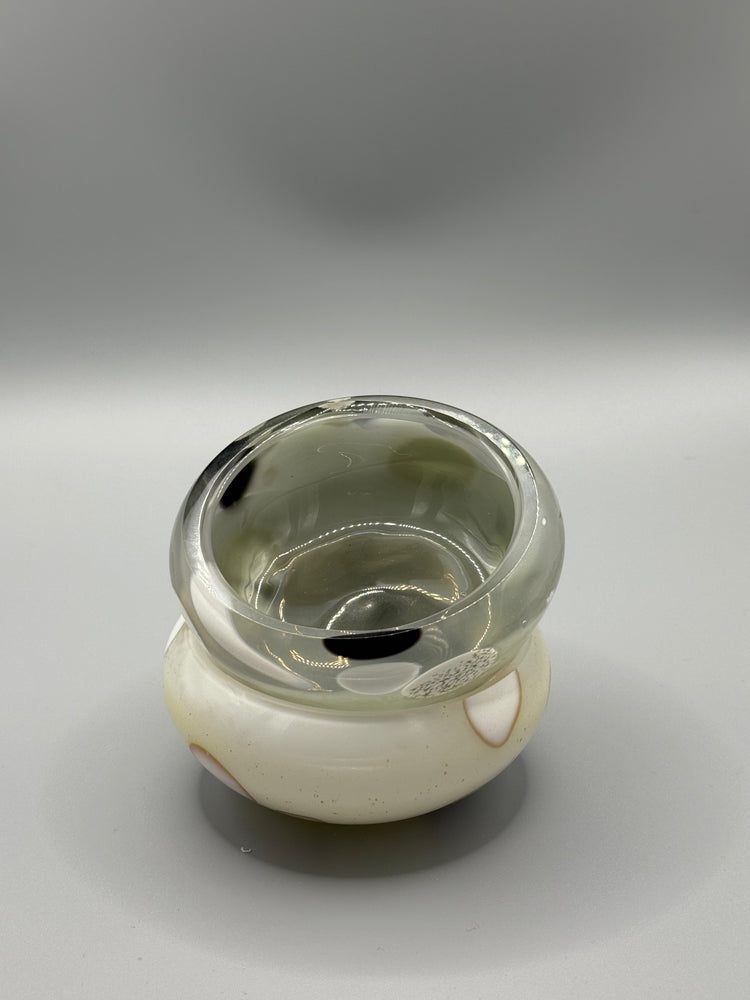 Bargain Standardbred Mezcal Mustang Coupe